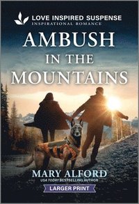 bokomslag Ambush in the Mountains