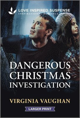 bokomslag Dangerous Christmas Investigation