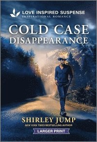 bokomslag Cold Case Disappearance