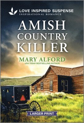 bokomslag Amish Country Killer