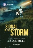 bokomslag Signal in the Storm