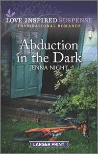 bokomslag Abduction in the Dark