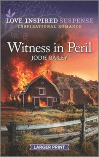 bokomslag Witness in Peril