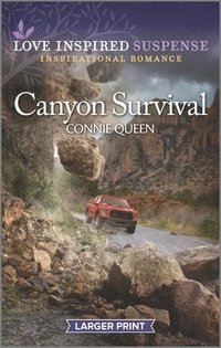 bokomslag Canyon Survival