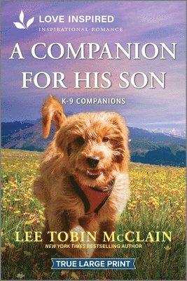Lee Tobin McClain - A Companion for His Son: An Uplifting Inspirational Romance, Häftad