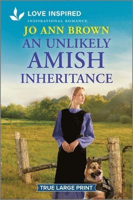 bokomslag An Unlikely Amish Inheritance