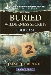 bokomslag Buried Wilderness Secrets