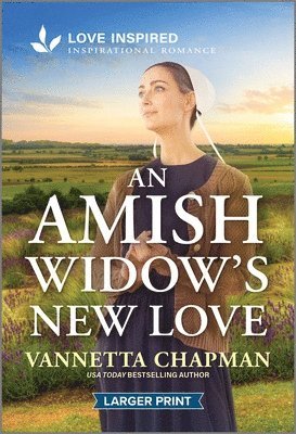 bokomslag An Amish Widow's New Love