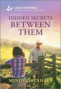bokomslag Hidden Secrets Between Them
