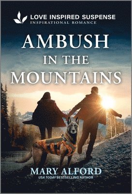 Ambush in the Mountains