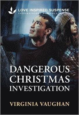 bokomslag Dangerous Christmas Investigation