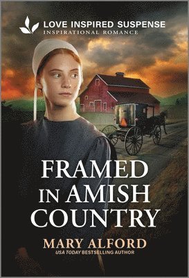 bokomslag Framed in Amish Country