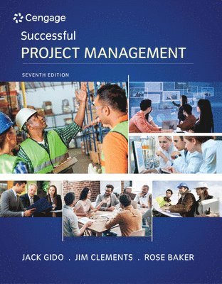 bokomslag Successful Project Management