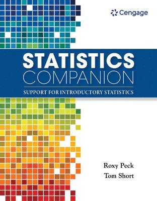 bokomslag Statistics Companion