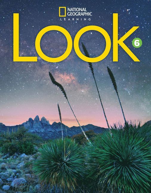 Look 6 (British English)