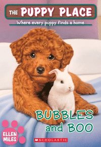 bokomslag Bubbles and Boo (the Puppy Place #44)