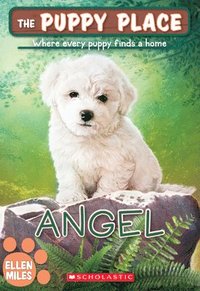 bokomslag Angel (The Puppy Place #46)