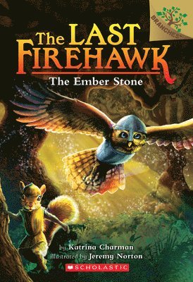 Katrina Charman - The Ember Stone: A Branches Book (The Last Firehawk #1), Häftad