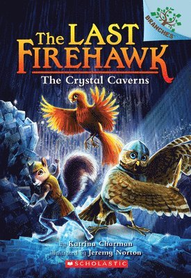 bokomslag The Crystal Caverns: A Branches Book (the Last Firehawk #2)