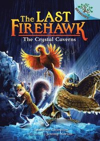 bokomslag The Crystal Caverns: A Branches Book (the Last Firehawk #2): Volume 2