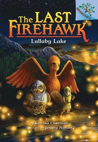 bokomslag Lullaby Lake: A Branches Book (the Last Firehawk #4): Volume 4