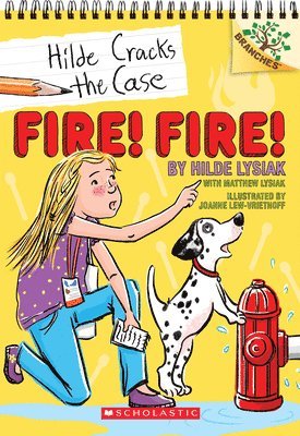 bokomslag Fire! Fire!: A Branches Book (Hilde Cracks the Case #3)