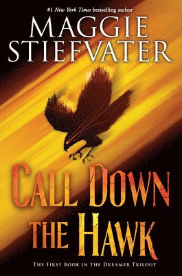 bokomslag Call Down The Hawk (The Dreamer Trilogy, Book 1)