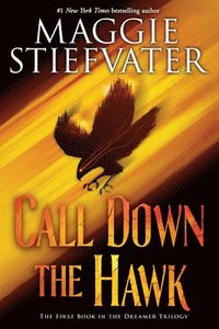 bokomslag Call Down the Hawk (the Dreamer Trilogy, Book 1)