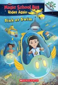 bokomslag Sink Or Swim: Exploring Schools Of Fish: A Branches Book (The Magic School Bus Rides Again)