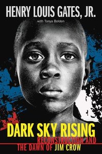 bokomslag Dark Sky Rising: Reconstruction and the Dawn of Jim Crow (Scholastic Focus)