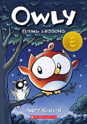 bokomslag Flying Lessons: A Graphic Novel (Owly #3): Volume 3