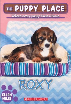 Ellen Miles - Roxy (the Puppy Place #55): Volume 55, Häftad