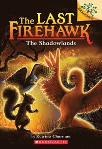 bokomslag The Shadowlands: A Branches Book (the Last Firehawk #5): Volume 5