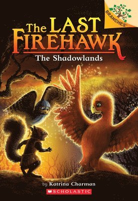 bokomslag The Shadowlands: A Branches Book (the Last Firehawk #5): Volume 5