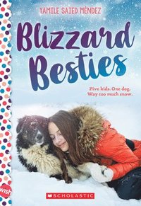 bokomslag Blizzard Besties: A Wish Novel