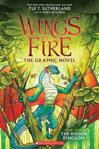 bokomslag The Hidden Kingdom (Wings of Fire Graphic Novel #3    )