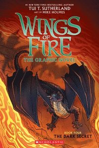 bokomslag The Dark Secret (Wings of Fire Graphic Novel #4)