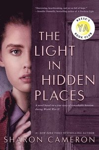 bokomslag Light In Hidden Places