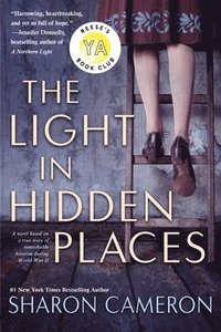 bokomslag Light In Hidden Places