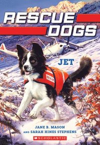 bokomslag Jet (Rescue Dogs #3)