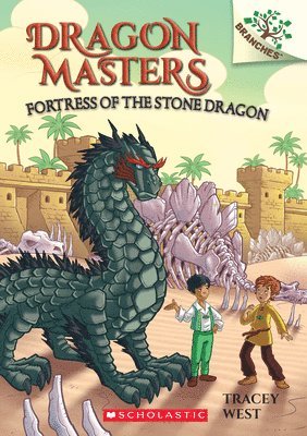 bokomslag Fortress of the Stone Dragon: A Branches Book (Dragon Masters #17)