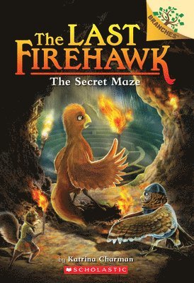 Secret Maze: A Branches Book (The Last Firehawk #10) 1