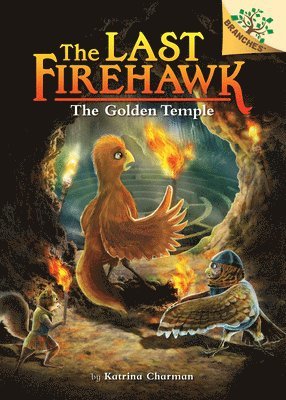 Katrina Charman - The Secret Maze: A Branches Book (The Last Firehawk #10), Inbunden