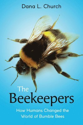 Dana L. Church - The Beekeepers: How Humans Changed the World of Bumble Bees (Scholastic Focus), Inbunden
