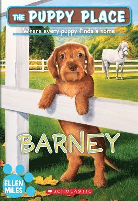 Barney (the Puppy Place #57): Volume 57