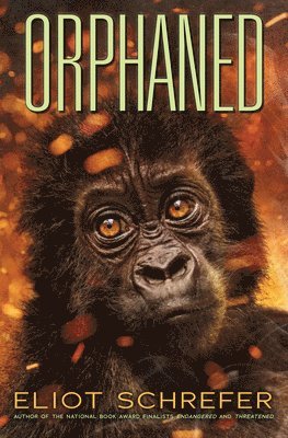 Eliot Schrefer - Orphaned (Ape Quartet #4), Häftad