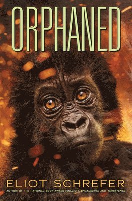 Orphaned (Ape Quartet #4) 1