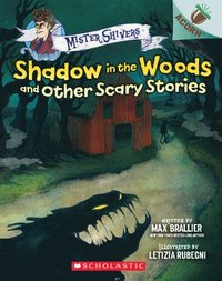 bokomslag Shadow in the Woods and Other Scary Stories: An Acorn Book (Mister Shivers #2)