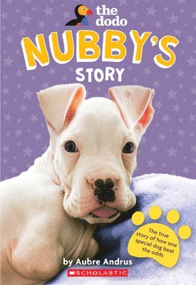 Nubby's Story (The Dodo) 1