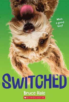 Bruce Hale - Switched, Häftad